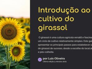 Guia Prático Sobre o Cultivo do Girassol