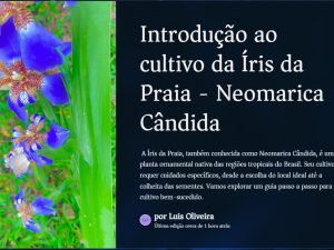 Guia Passo a Passo para o cultivo da Íris da Praia - Neomarica Cândida