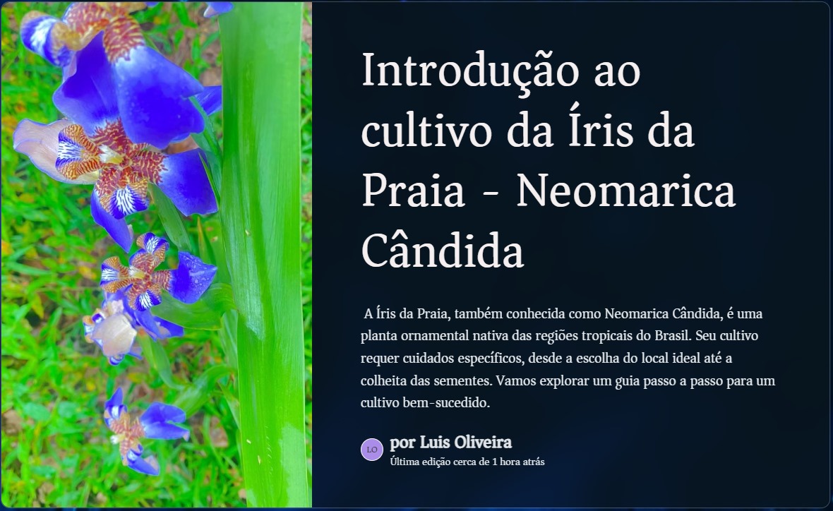 Guia Passo a Passo para o cultivo da Íris da Praia - Neomarica Cândida