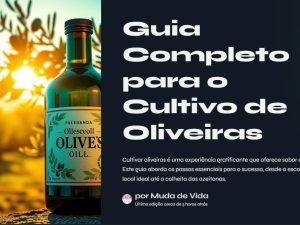 Guia Completo para o Cultivo de Oliveiras