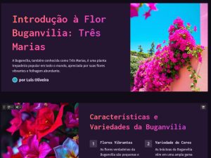 Introdução à Flor Buganvília: Três Marias