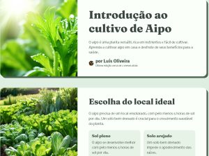 Um Guia de Introdução ao Cultivo de Aipo