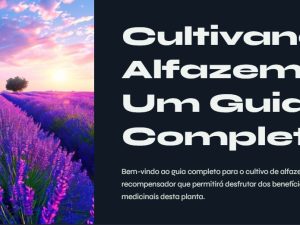 Cultivando Alfazema: Um Guia Completo