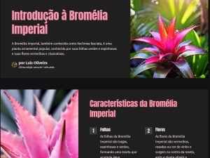 Guia de Introdução ao Cultivo da Bromélia Imperial