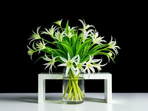 Guia Prático para Cultivar a Flor Falangio
